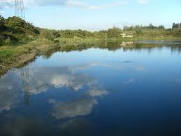 Image result for Wheatley Hill Angling Club