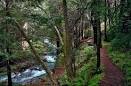 California State Parks Foundation