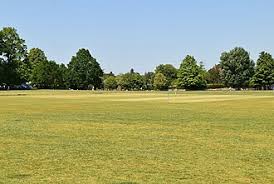 Image result for Lingfield Cricket Club