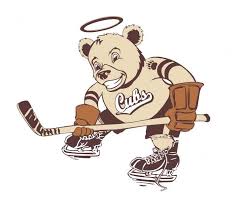 Image result for Hersham Hockey Club