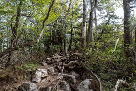 Attēlu rezultāti vaicājumam “Ena montana”