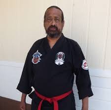 Image result for Independent Wadoryu Karate Federation