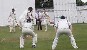Image result for Prestatyn Cricket Club