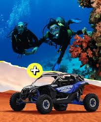 Image result for Maverick Divers
