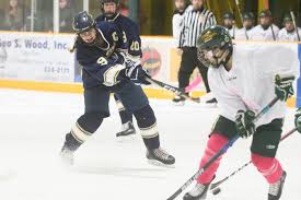 Image result for Phoenix Hockey Club (Essex)