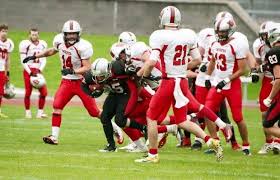 Image result for Edinburgh Wolves
