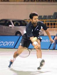 Image result for indian sports