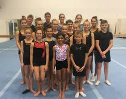 Image result for Harriers Acrobatic Gym Club