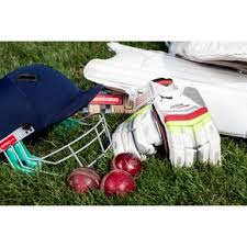 Image result for Yelverton Bohemians Cricket Club