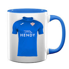 Image result for Hendy Afc