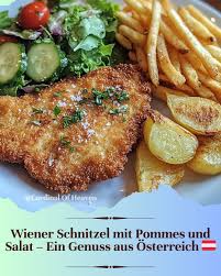 Image result for schnitzel mit pommes
