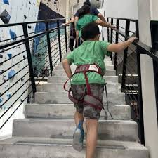 Image result for Velocity PK Parkour Club