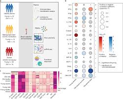 Image result for *mankai.co.jp ドメイン