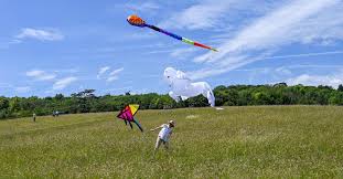 Image result for Brighton Kite Fliers