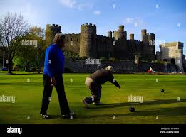 Image result for Crown Hotel Bowling Club