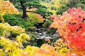 Image result for japanese gardens...