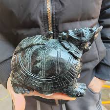 Αποτέλεσμα εικόνας για jade dragon turtle