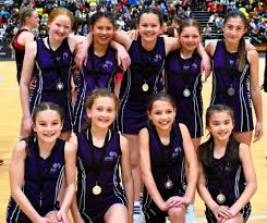 Image result for Wandsworth Netball Club