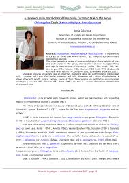 Attēlu rezultāti vaicājumam “Chiloscyphus polyanthos sporophyte”