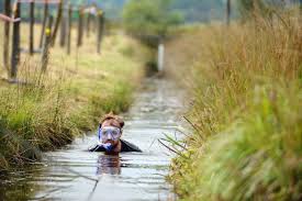 Image result for Bog Snorkelling Championships