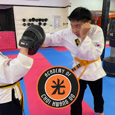 Image result for southern academy choi kwang do