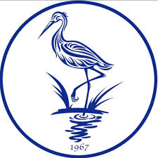 Image result for Cranleigh Cricket Club