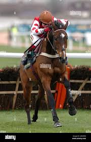 Image result for Liverpool Equestrian Club