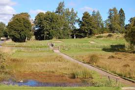 Image result for Abernethy Golf Club