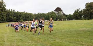 Image result for Tunbridge Wells Harriers