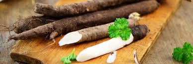 Image result for Schwarzwurzeln