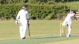 Image result for Worcester Nomads Cricket Club