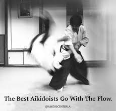 Image result for AikidoFlow