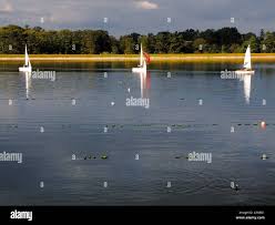 Image result for Shustoke Sailing Club