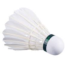 Image result for Feathers Badminton- Leatherhead