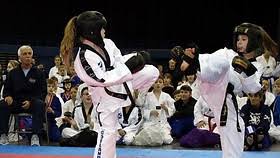 Image result for Bellshill Tae Kwon-Do