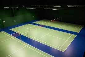 Image result for North Tyneside Badminton Academy Badminton Club