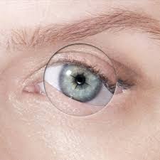 Image result for robyn