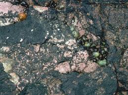 Attēlu rezultāti vaicājumam “Verrucaria hydrela”