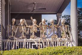 Image result for Freck Chain Gang