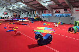 Image result for Buckley Girls Gymnastic Club