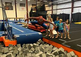 Image result for Phoenix Acro Gymnastics Club