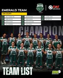 Image result for Ipswich Ladies Netball Club