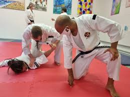 Image result for Tolworth Shorinji Kempo Branch