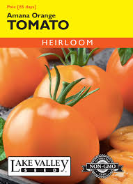 Afbeeldingsresultaat voor amana orange beefsteak tomato