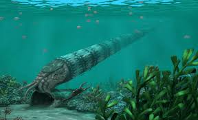 Attēlu rezultāti vaicājumam “Endoceras”