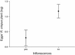 Attēlu rezultāti vaicājumam “Euphydrias aurinia upperside”