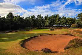 Image result for Hankley Common Golf Club
