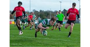 Image result for Rochford Hundred Rugby Club