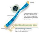 The 2009 Nobel Prize In Physiology Or Medicine: The Protective ...