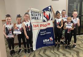 Image result for Ipswich Gymnastics